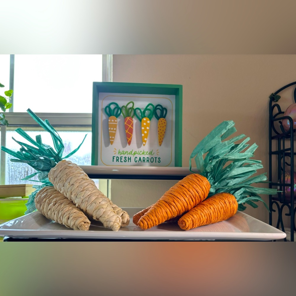 Target SPRITZ Easter Carrot Bundle